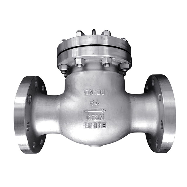 Swing check valve